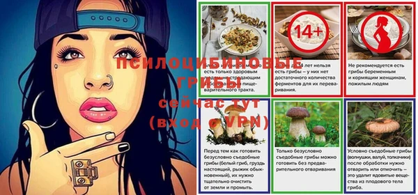 спиды Нея