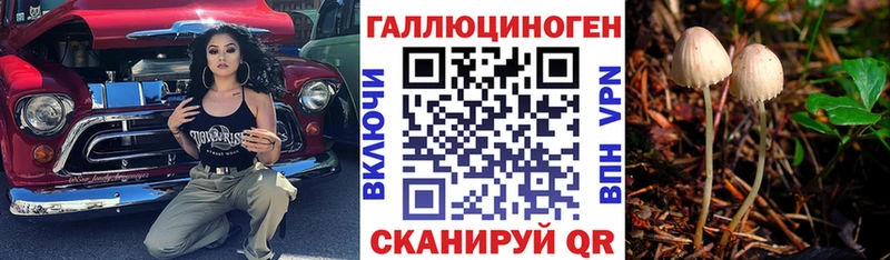 Галлюциногенные грибы Cubensis  Смоленск 