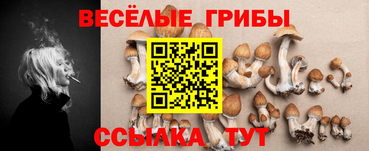 как найти   Галлюциногенные грибы Magic Shrooms  Псилоцибиновые грибы мухоморы  Вход с VPN  Смоленск 